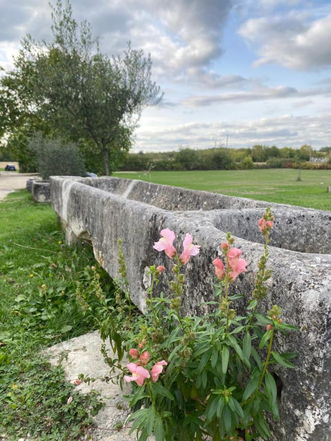 Domaine De La Laigne - Spa Asnières-la-Giraud Exterior foto